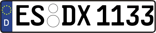 ES-DX1133