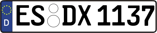 ES-DX1137