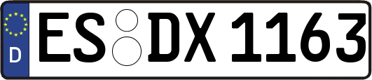 ES-DX1163
