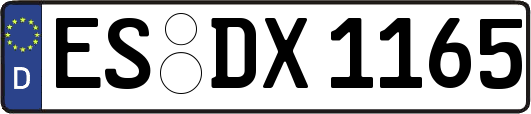 ES-DX1165