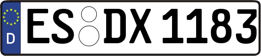 ES-DX1183
