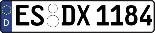 ES-DX1184