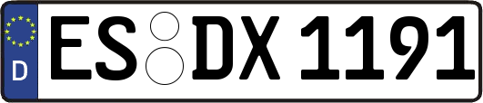 ES-DX1191