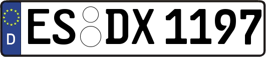 ES-DX1197