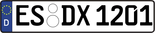 ES-DX1201