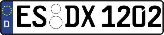 ES-DX1202