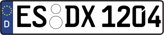 ES-DX1204