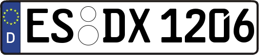 ES-DX1206