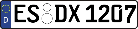 ES-DX1207