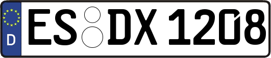 ES-DX1208
