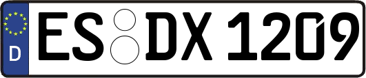ES-DX1209