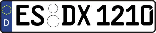 ES-DX1210