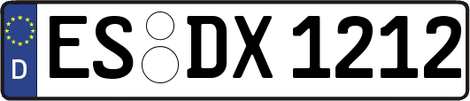 ES-DX1212