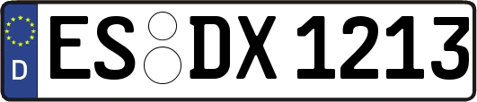 ES-DX1213