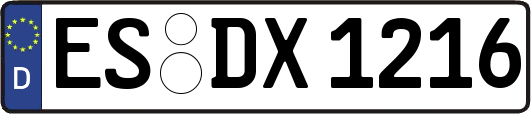 ES-DX1216