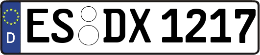 ES-DX1217
