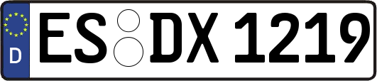 ES-DX1219