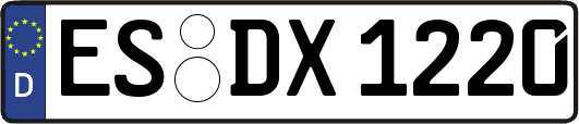 ES-DX1220