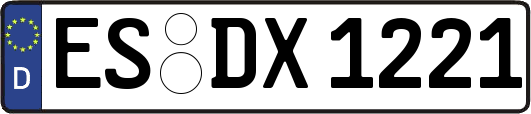 ES-DX1221
