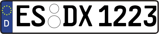 ES-DX1223