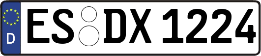 ES-DX1224