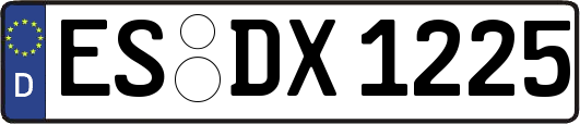 ES-DX1225