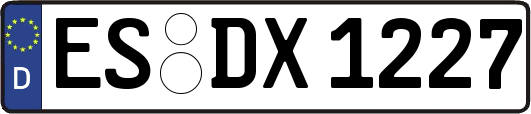 ES-DX1227