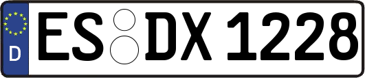 ES-DX1228