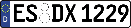 ES-DX1229