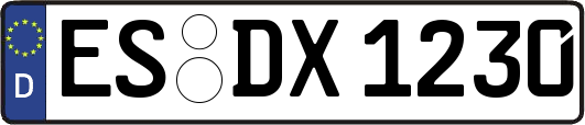 ES-DX1230