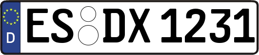 ES-DX1231
