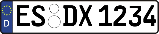ES-DX1234