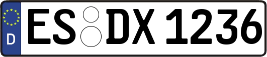 ES-DX1236