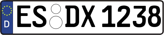 ES-DX1238
