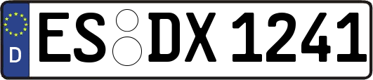 ES-DX1241