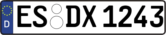 ES-DX1243