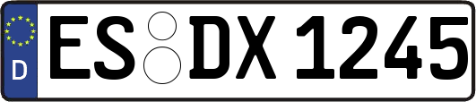 ES-DX1245