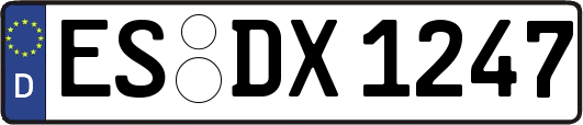 ES-DX1247