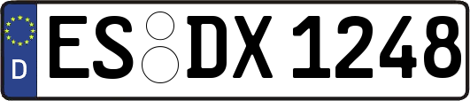 ES-DX1248