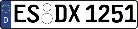 ES-DX1251