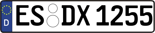 ES-DX1255