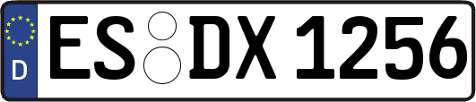 ES-DX1256