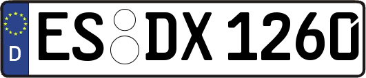 ES-DX1260