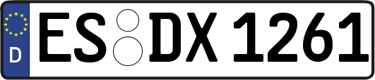 ES-DX1261