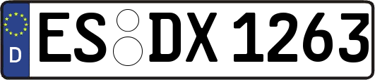 ES-DX1263