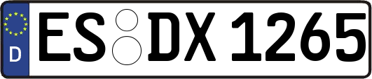 ES-DX1265