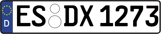 ES-DX1273
