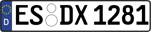 ES-DX1281