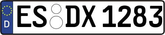 ES-DX1283