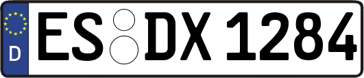 ES-DX1284